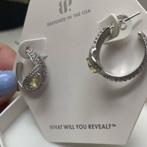 🦄 BP NOVEMBER 2025 EARRINGS 🦄